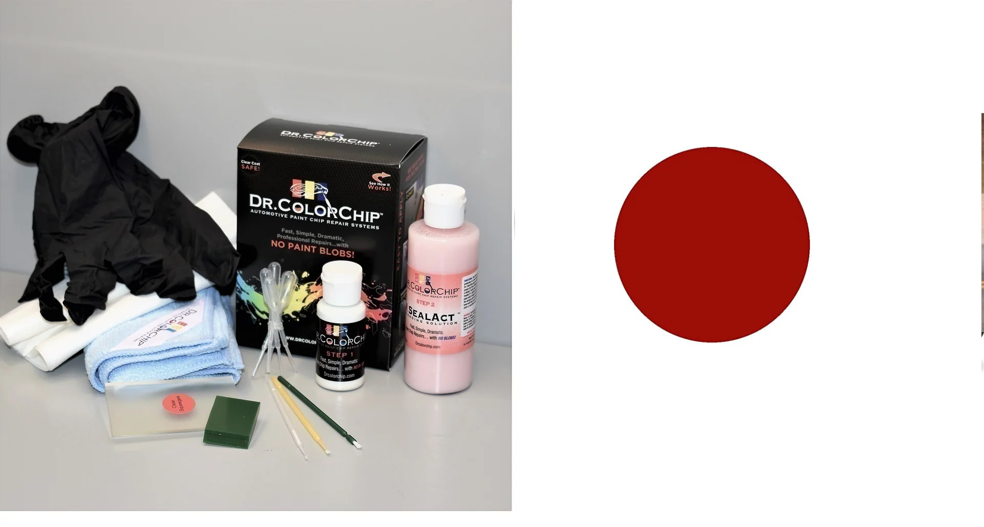 Tesla Model S Exterior Touch Up Paint Kit, Dr Color Chip, Squirt 'n Squeegee PLUS, 2012-2025 - Image 22