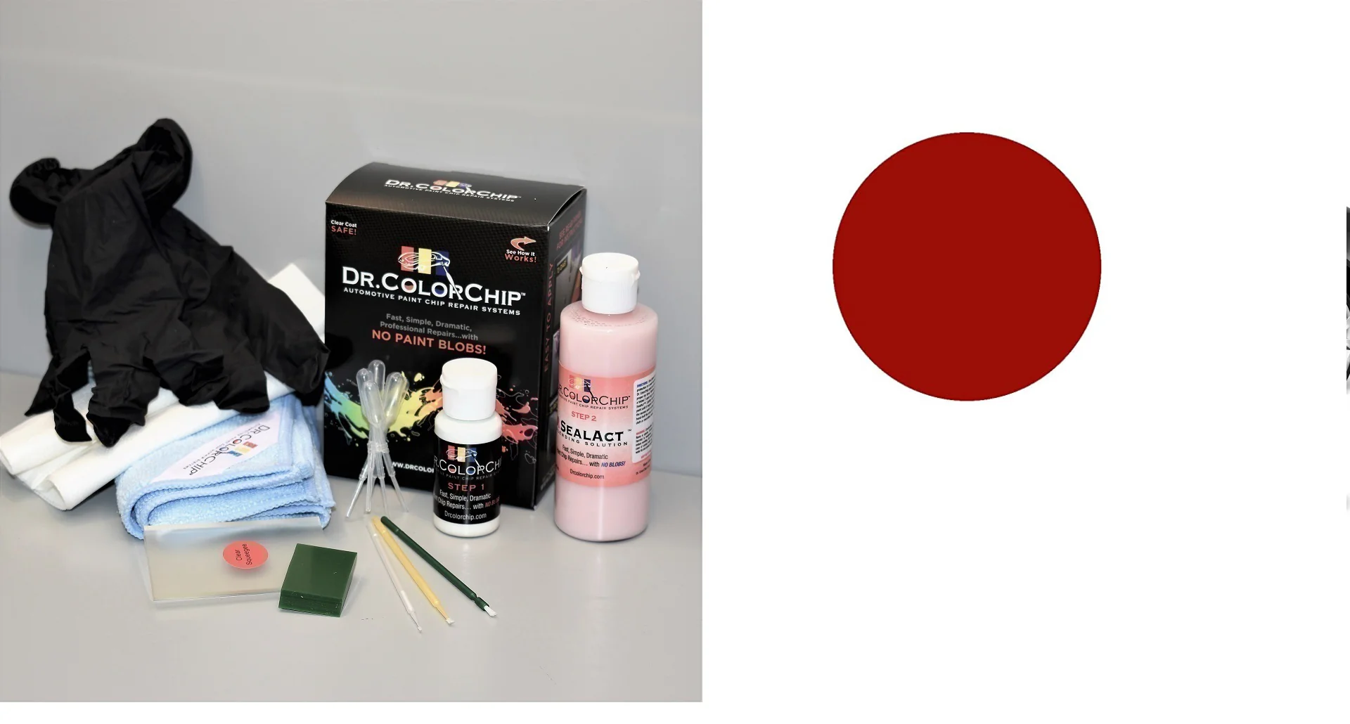 Tesla Model X Exterior Touch Up Paint Kit, Dr Color Chip, Squirt 'n Squeegee PLUS, 2016-2026 - Image 14